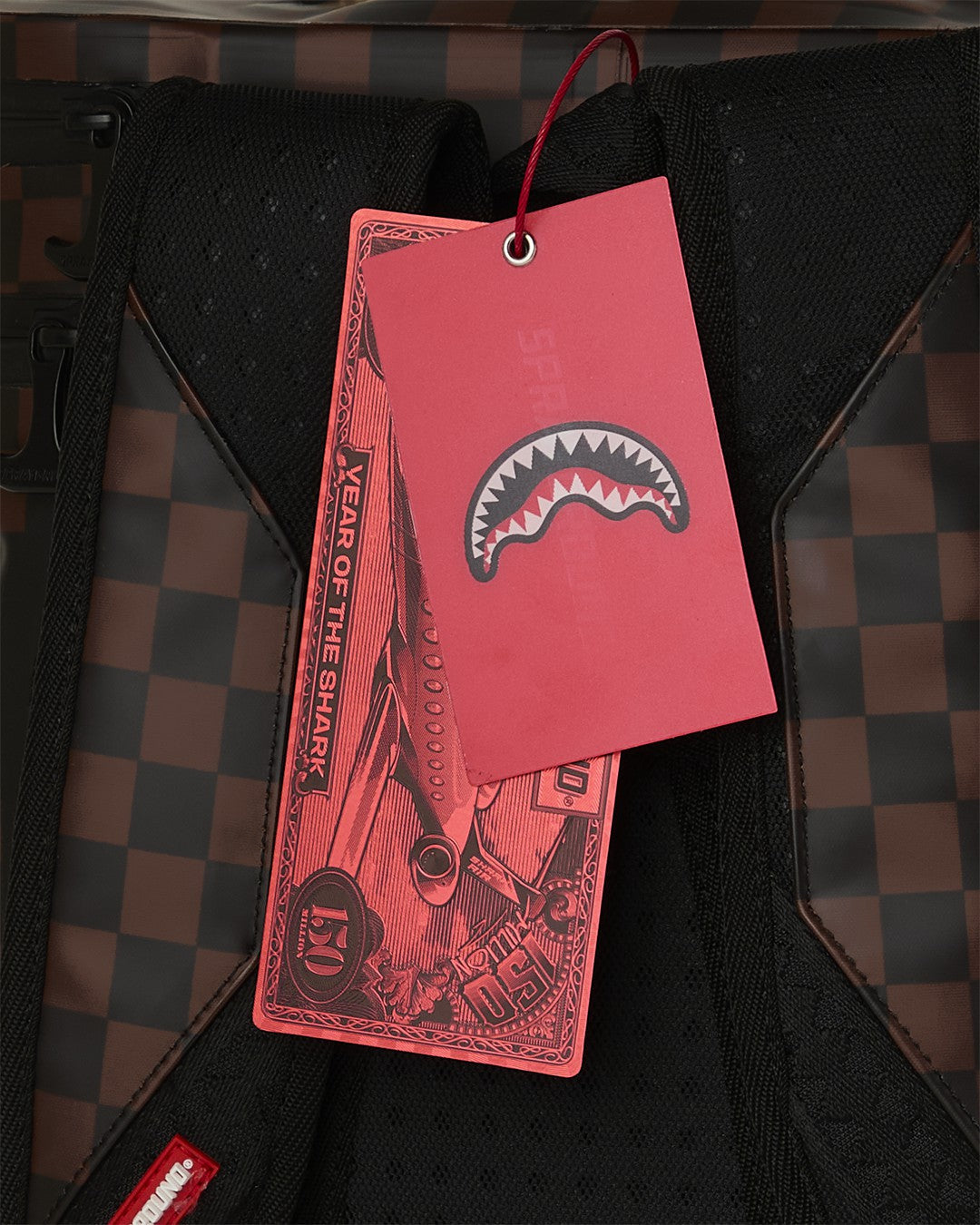 SHARK COOLER BACKPACK