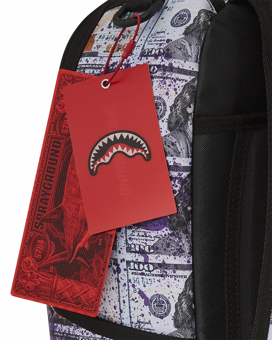 BILLIONS IN THE BANK BACKPACK