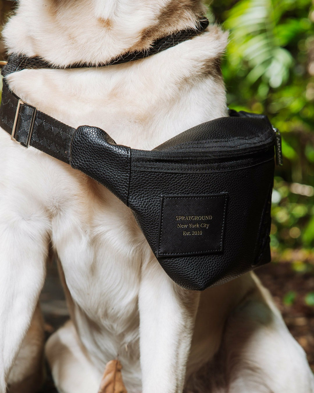 THE HQ SAVVY CROSSBODY