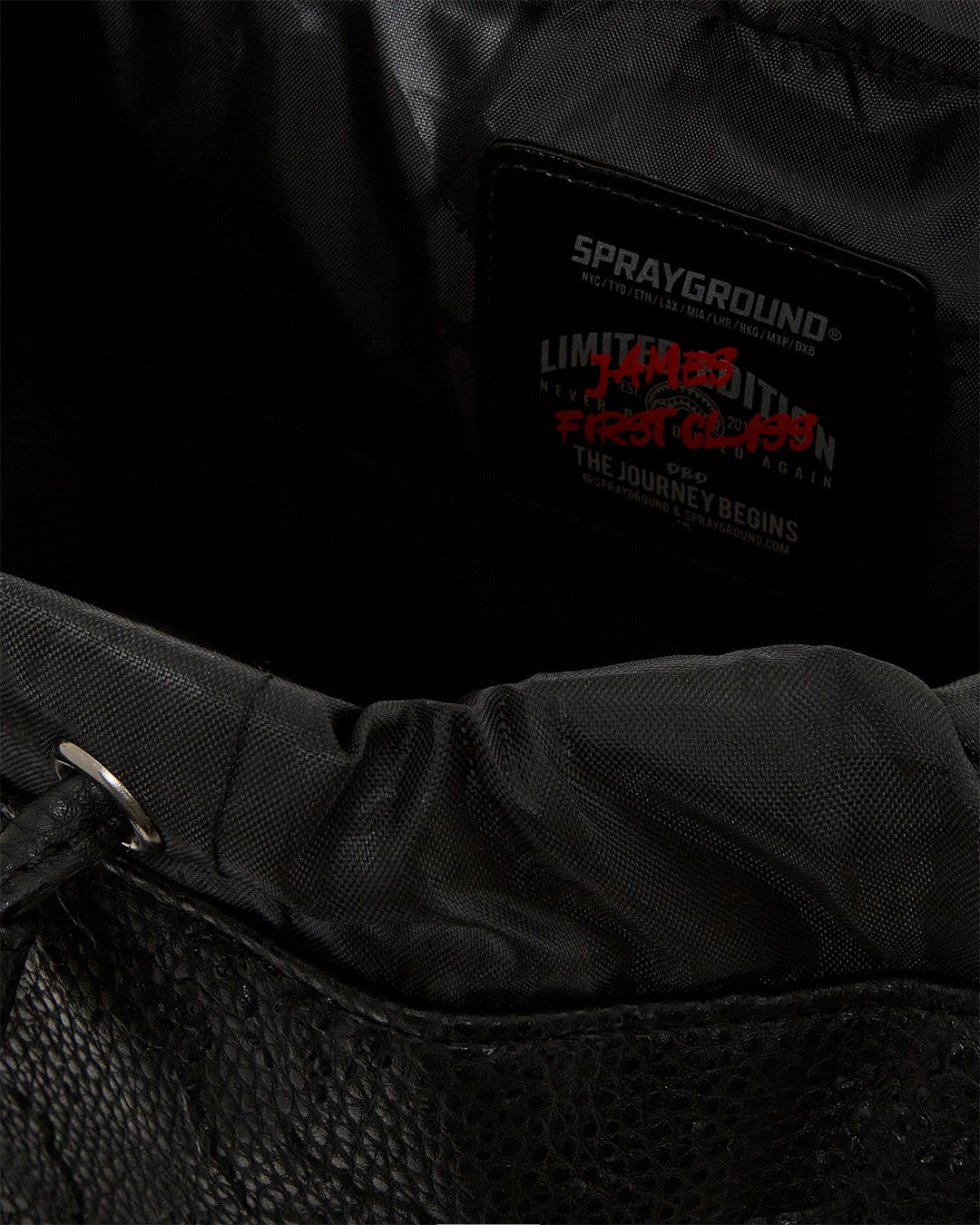 JAMES FIRST CLASS TYCOON TRAVELER MONTE CARLO BACKPACK