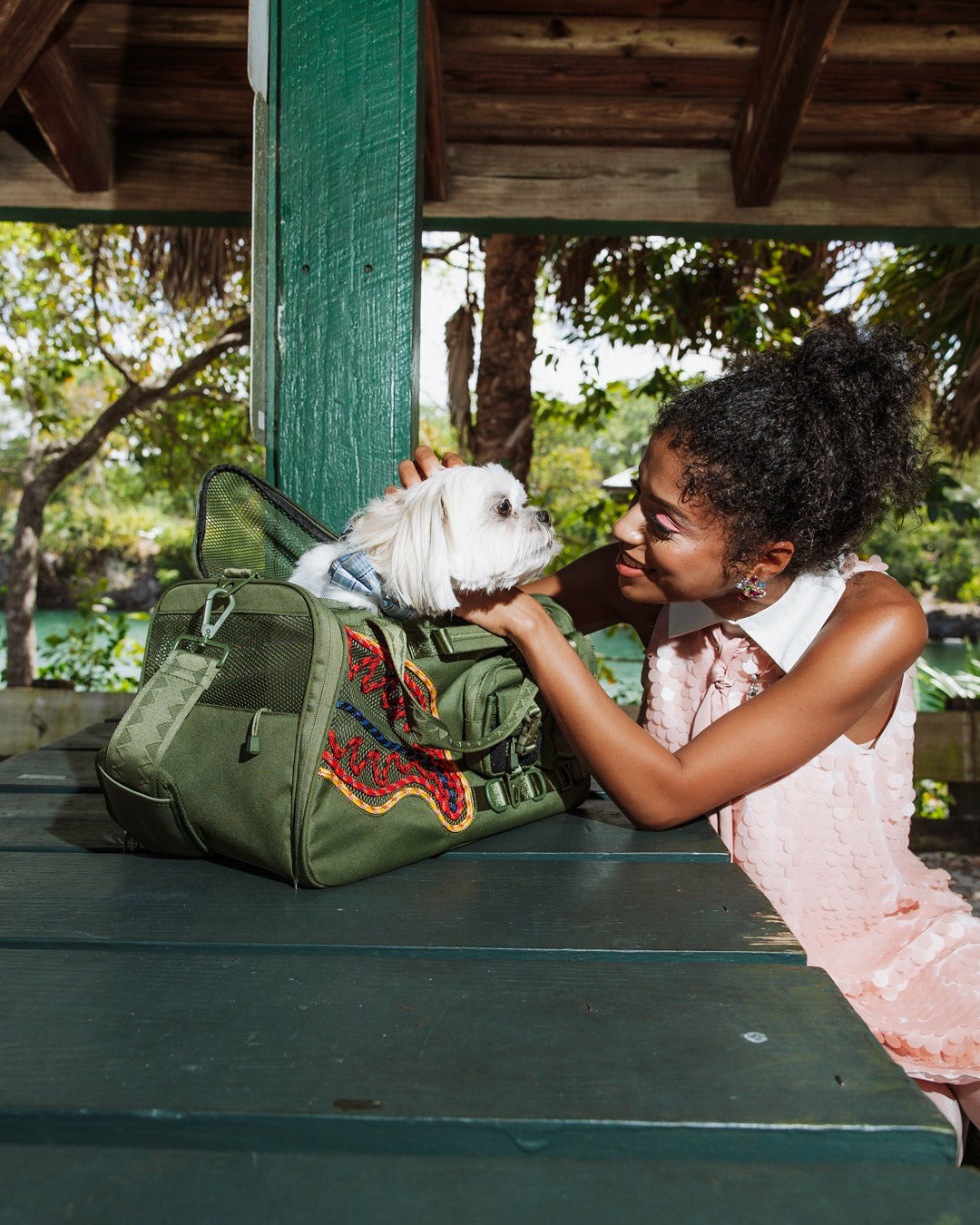 WON'T STOP TILL THE TOP PET CARRIER