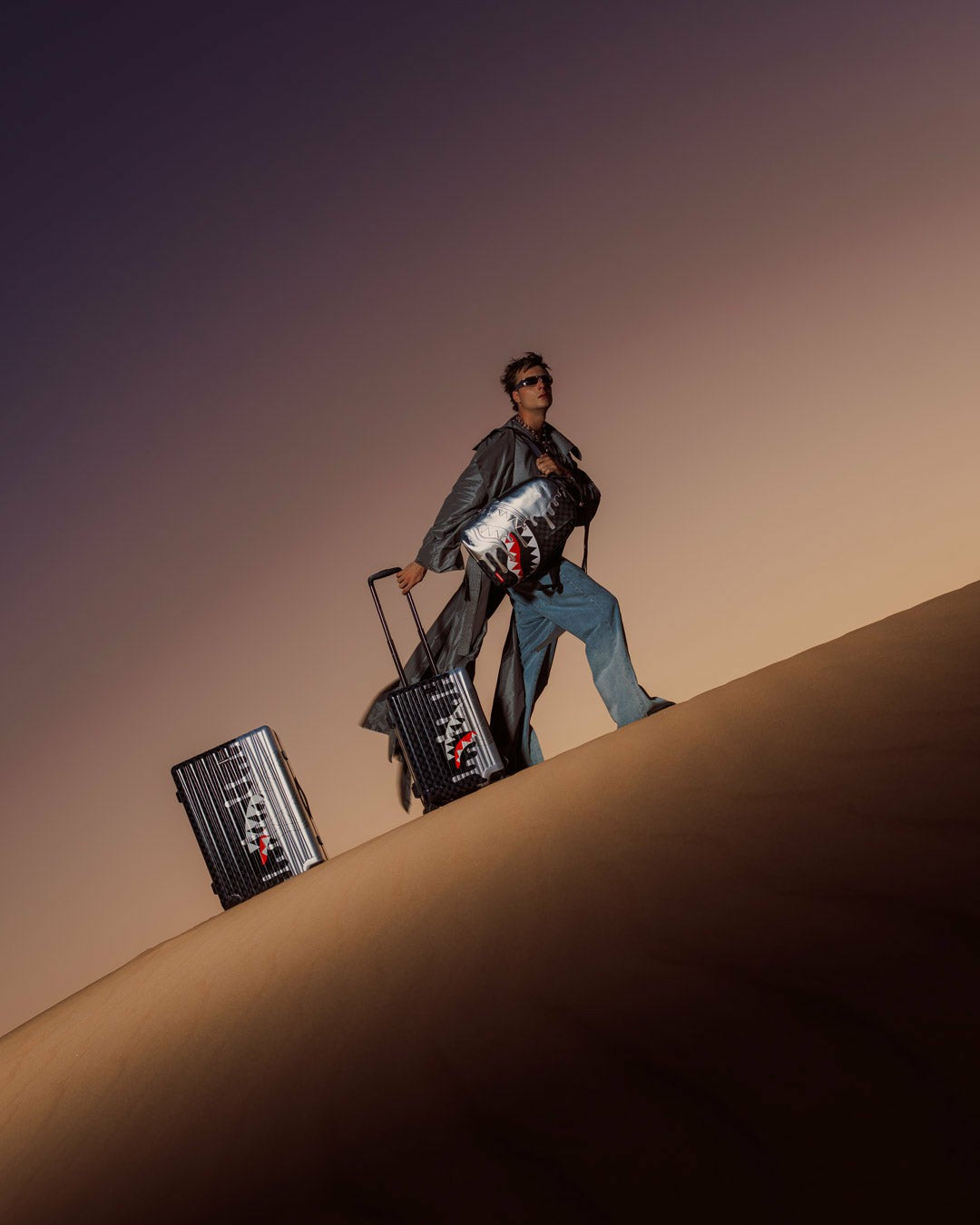 CHROME SPECTRE CARRY-ON LUGGAGE