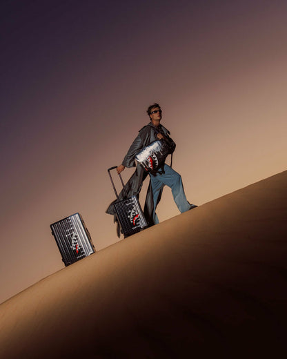CHROME SPECTRE CARRY-ON LUGGAGE