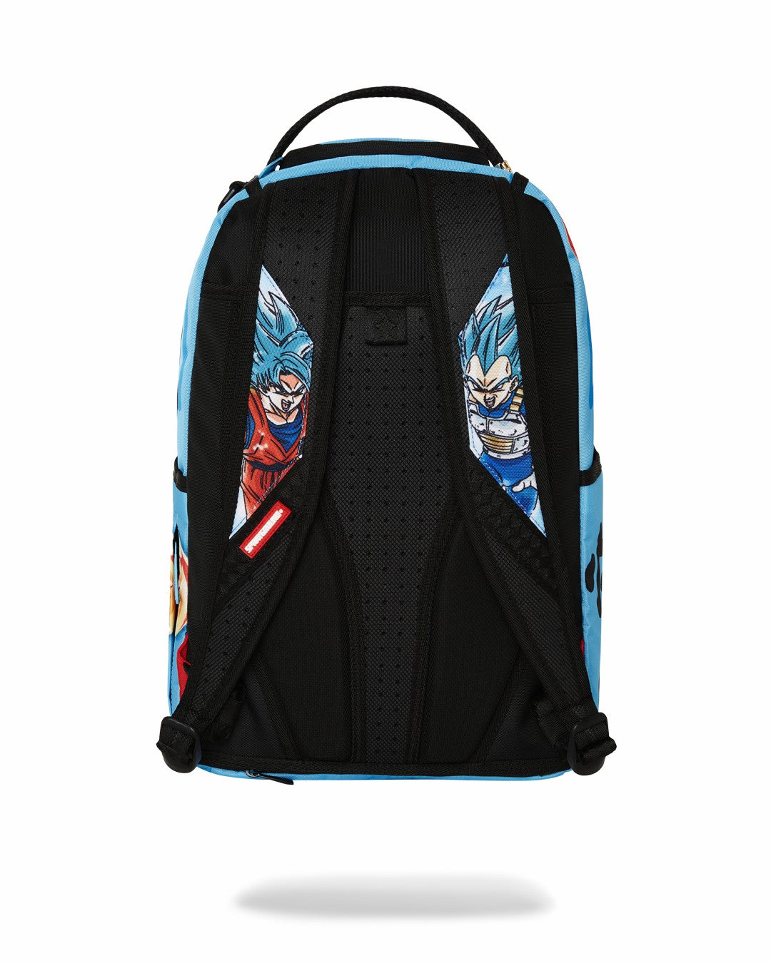 DRAGON BALL Z SUPER SAIYAN BLUE GOKU AND VEGETA
