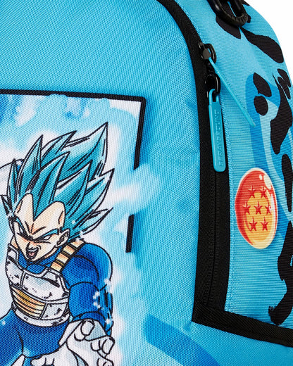 DRAGON BALL Z SUPER SAIYAN BLUE GOKU AND VEGETA