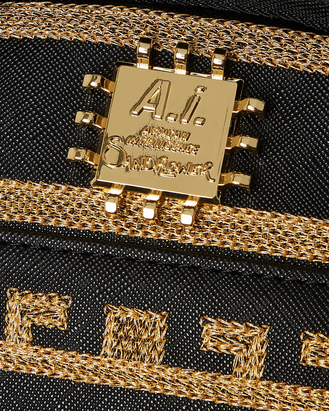 A.I.8 AFRICAN INTELLIGENCE PATH TO THE FUTURE II BACKPACK (DLXV)