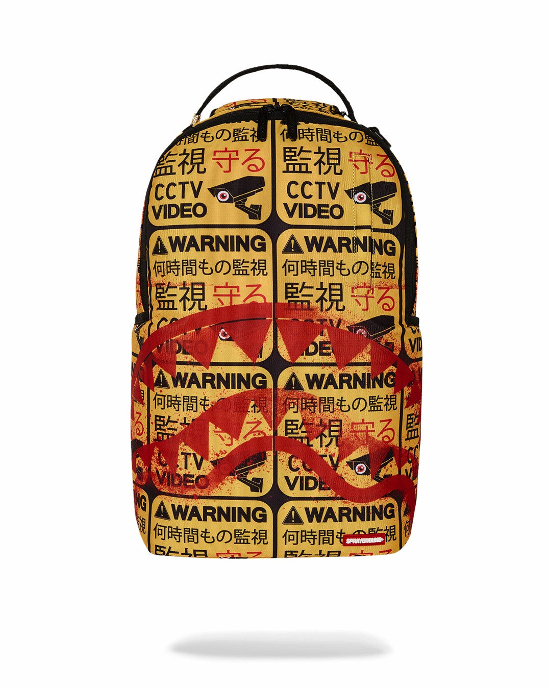 CCTV SECTOR 404 BACKPACK