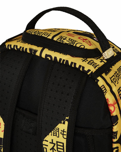 CCTV SECTOR 404 BACKPACK