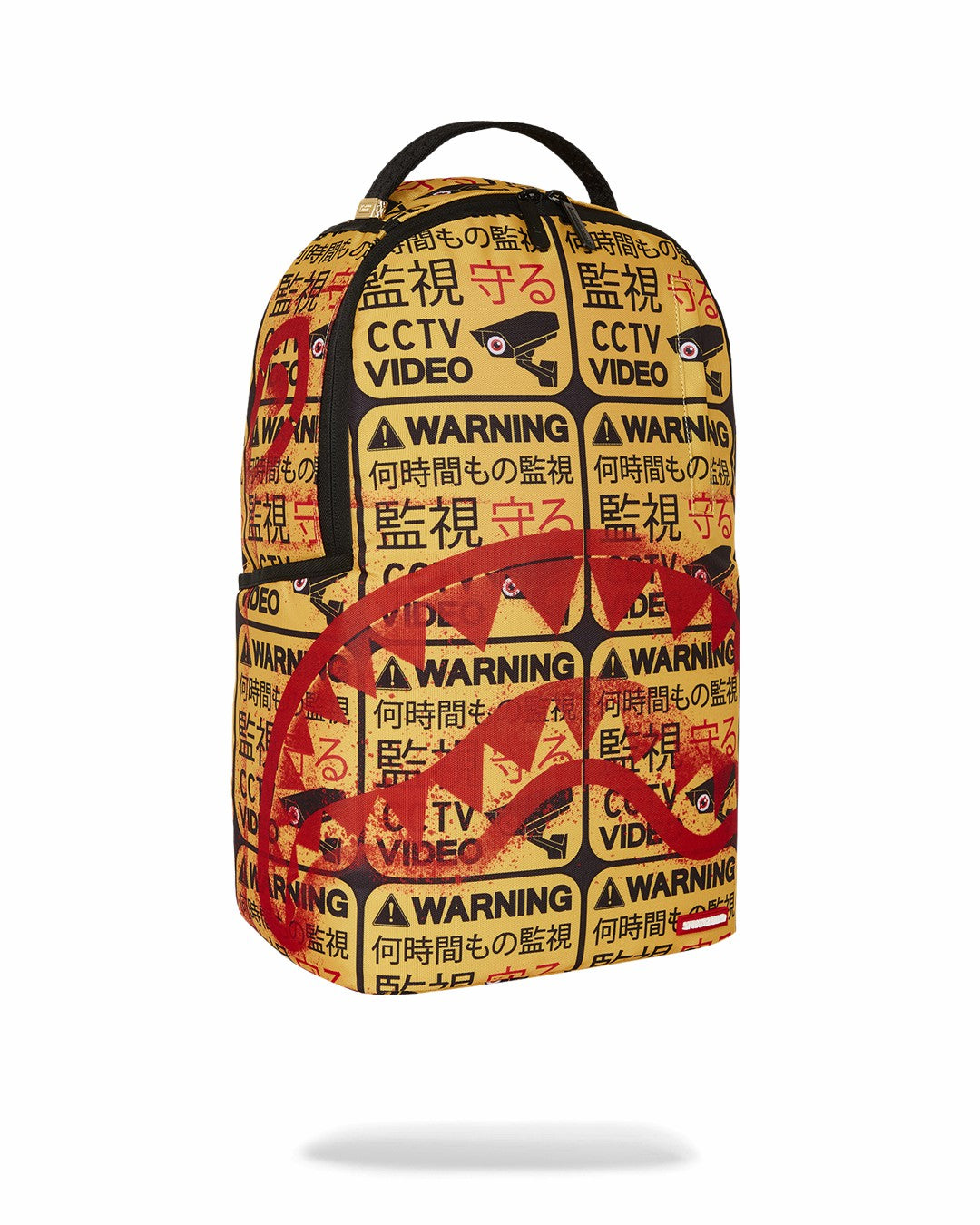 CCTV SECTOR 404 BACKPACK