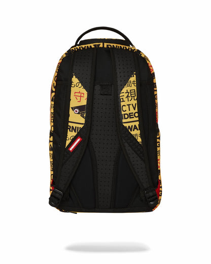 CCTV SECTOR 404 BACKPACK