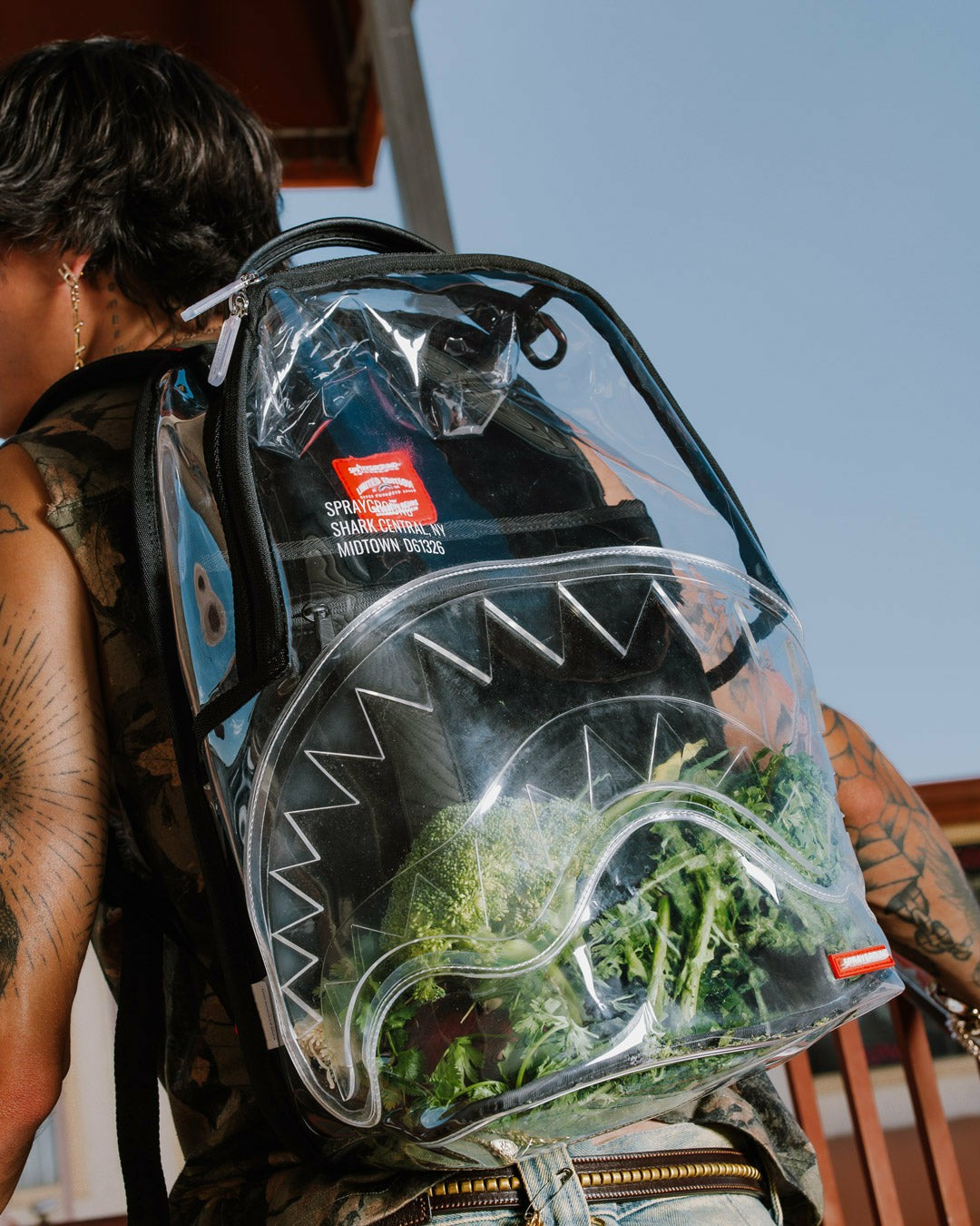 CLEAR BACKPACK - SHARK CENTRAL