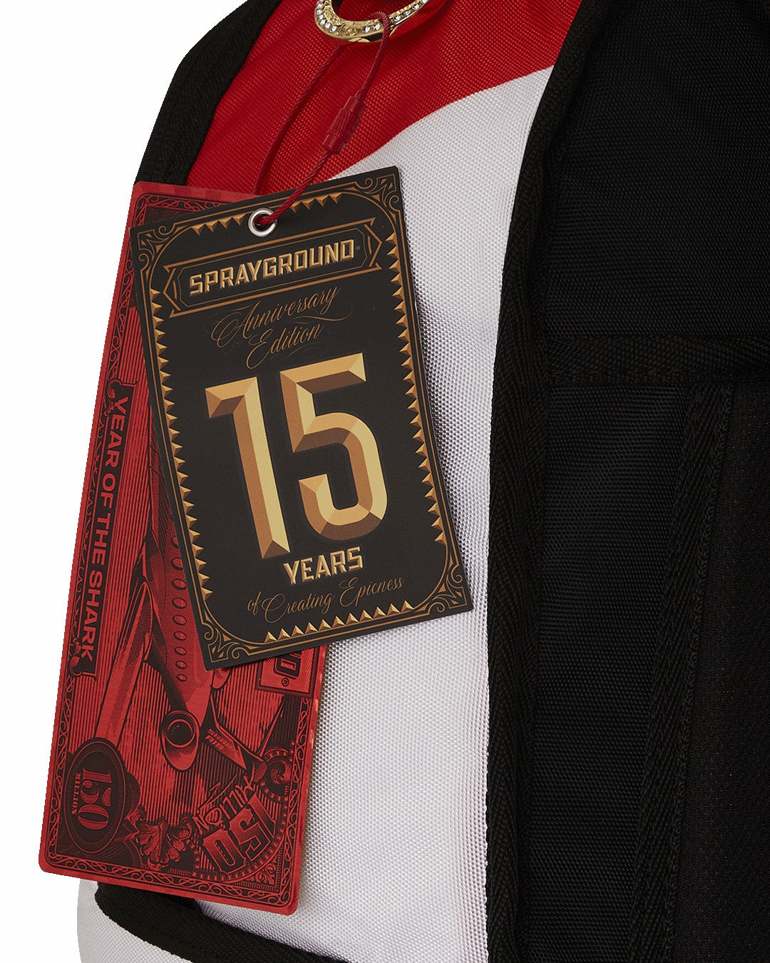 THE SCROLL OF 15 YEARS DLXV BACKPACK (SUPER RARE)