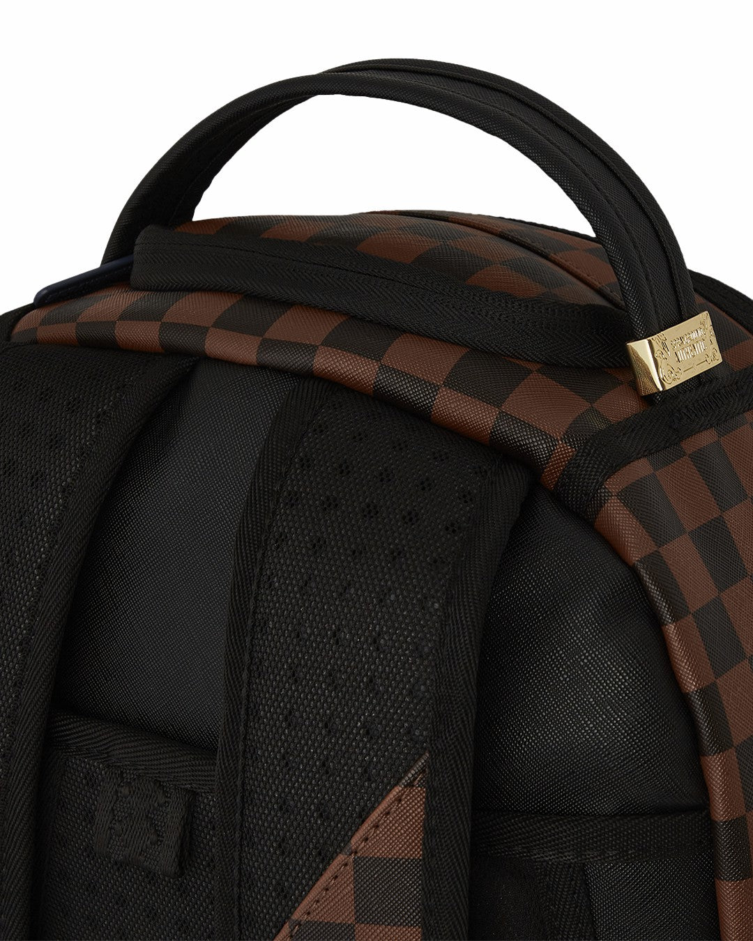 SHARKS IN PARIS GT BACKPACK