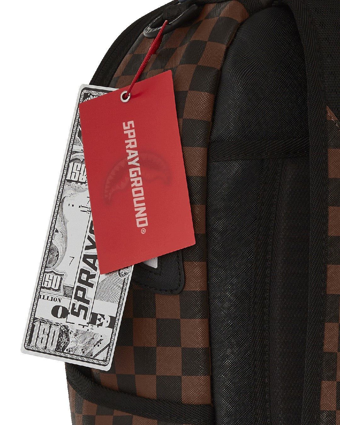 SHARKS IN PARIS GT BACKPACK